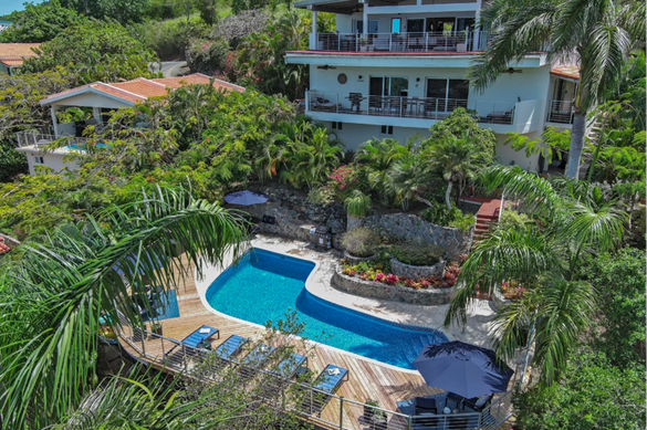 Aerial view of a curved infinity pool surrounded by lush palm trees and a multi-level white villa on a tropical hillside, St. John villa rental